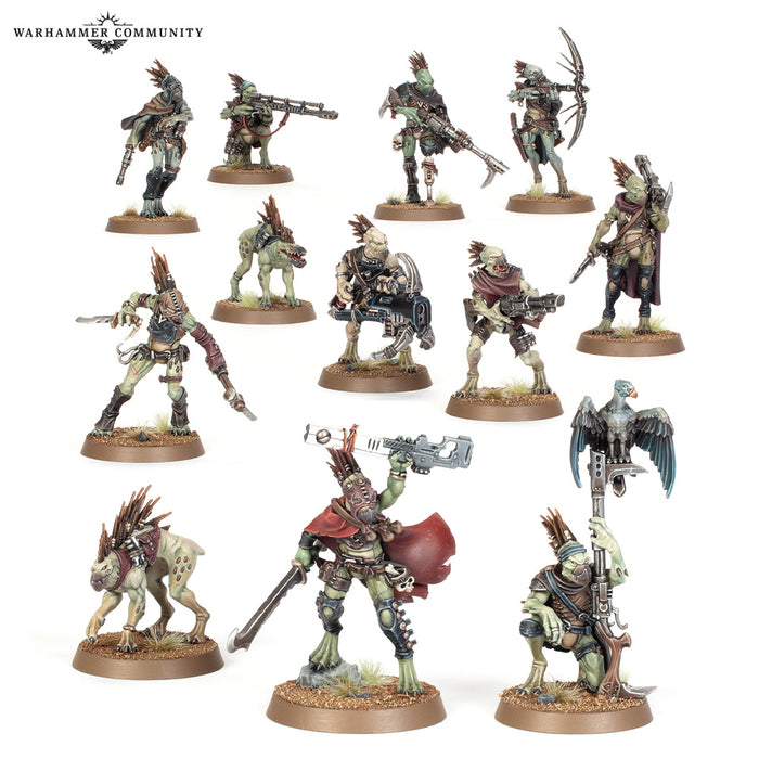 Tau Empire: Kroot Farstalkers